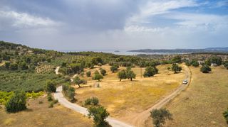Αγροτεμάχια 12.696 τ.μ. για πώληση, Αργολίδα, Κρανίδι-thumb-2
