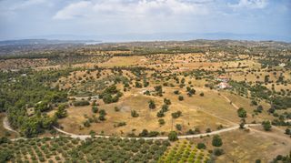 Αγροτεμάχια 12.696 τ.μ. για πώληση, Αργολίδα, Κρανίδι-thumb-13