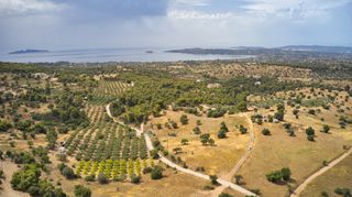 Αγροτεμάχια 12.696 τ.μ. για πώληση, Αργολίδα, Κρανίδι-thumb-6