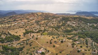 Αγροτεμάχια 12.696 τ.μ. για πώληση, Αργολίδα, Κρανίδι-thumb-9