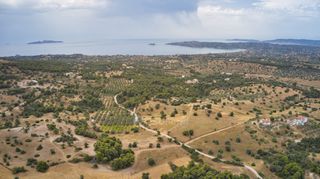 Αγροτεμάχια 12.696 τ.μ. για πώληση, Αργολίδα, Κρανίδι-thumb-15