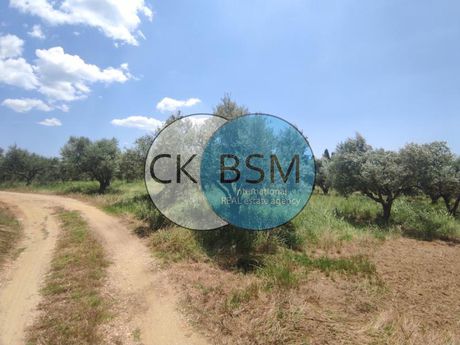 Αγροτεμάχια 8.169τ.μ. για πώληση-Γαργαλιάνοι » Φλόκα