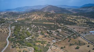Αγροτεμάχια 4.026 τ.μ. για πώληση, Αργολίδα, Κρανίδι-thumb-6