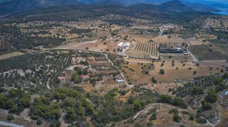 Αγροτεμάχια 4.026 τ.μ. για πώληση, Αργολίδα, Κρανίδι-thumb-11