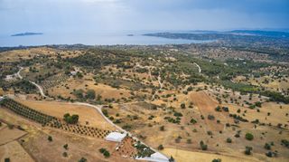 Αγροτεμάχια 6.310 τ.μ. για πώληση