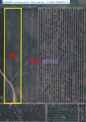 Αγροτεμάχια 11.000 τ.μ. πρός πώληση