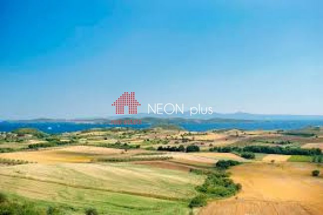 Αγροτεμάχια 14.000 τ.μ. για πώληση, Χαλκιδική, Καλλικράτεια