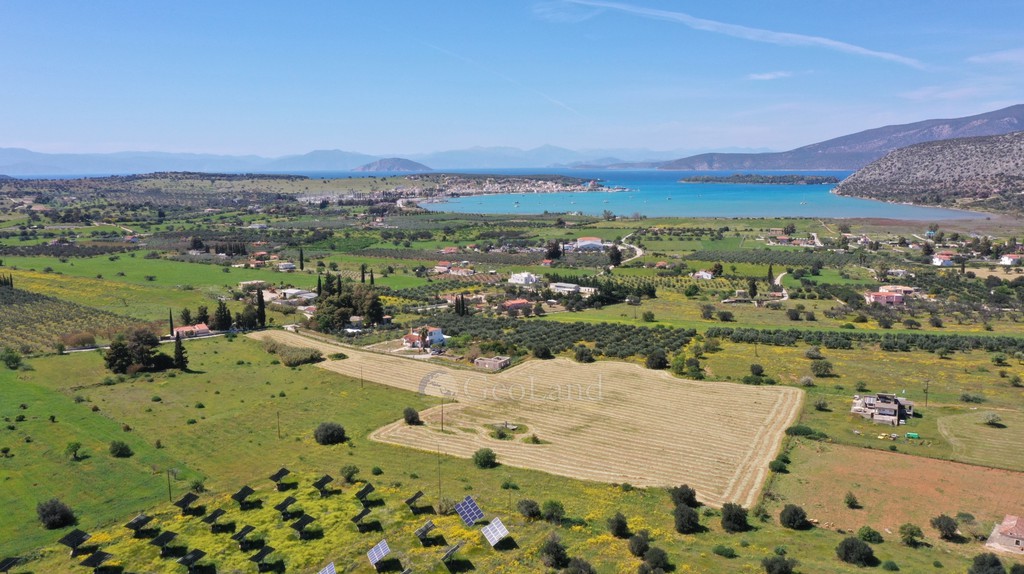 Αγροτεμάχια 20.808 τ.μ. προς πώληση, Κάμπος Κρανιδίου