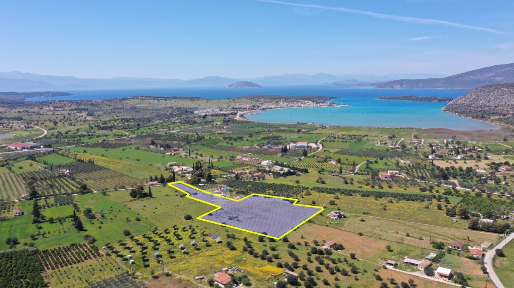 Αγροτεμάχια 20.808 τ.μ. προς πώληση, Κάμπος Κρανιδίου
