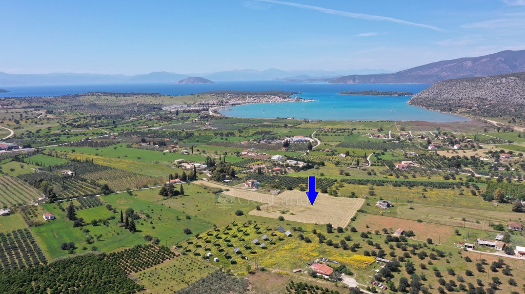 Αγροτεμάχια 20.808 τ.μ. προς πώληση, Κάμπος Κρανιδίου
