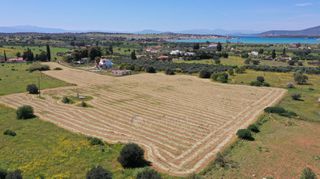 Αγροτεμάχια 20.808 τ.μ. για πώληση