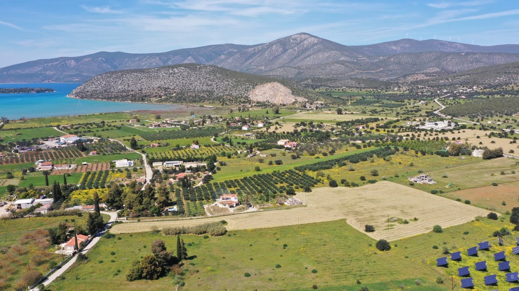 Αγροτεμάχια 20.808 τ.μ. προς πώληση, Κάμπος Κρανιδίου
