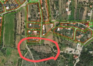 Αγροτεμάχια 4.100 τ.μ. για πώληση
