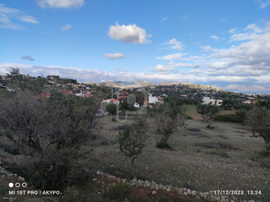 Αγροτεμάχια 4.100 τ.μ. προς πώληση, Κέντρο Σαλαμίνας