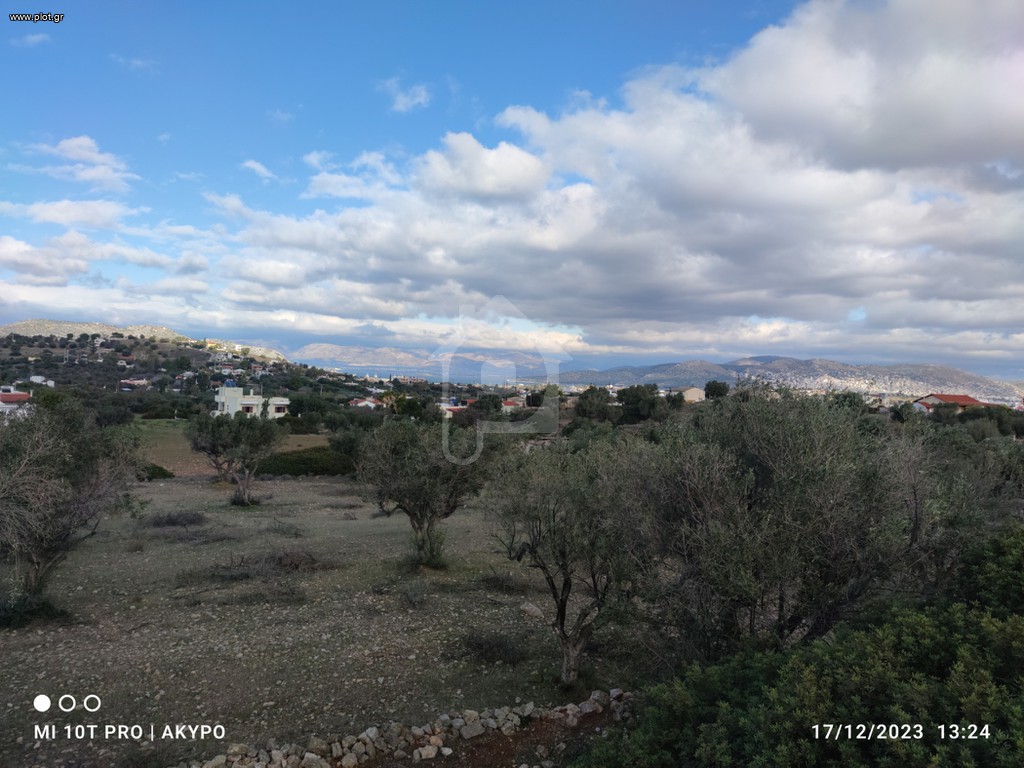 Αγροτεμάχια 4.100 τ.μ. προς πώληση, Κέντρο Σαλαμίνας
