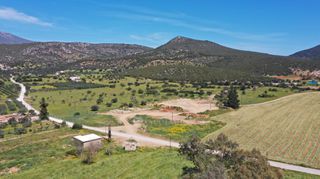 Αγροτεμάχια 12.424 τ.μ. για πώληση, Αργολίδα, Κρανίδι-thumb-17