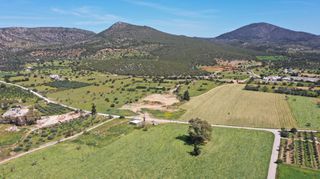 Αγροτεμάχια 12.424 τ.μ. για πώληση, Αργολίδα, Κρανίδι-thumb-6