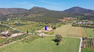 Αγροτεμάχια 12.424 τ.μ. για πώληση, Αργολίδα, Κρανίδι-thumb-3