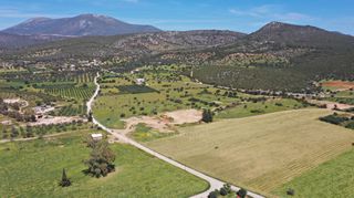 Αγροτεμάχια 12.424 τ.μ. για πώληση, Αργολίδα, Κρανίδι-thumb-8