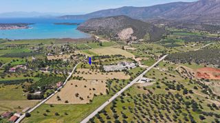 Αγροτεμάχια 13.000 τ.μ. για πώληση, Αργολίδα, Κρανίδι-thumb-3
