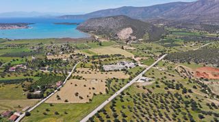 Αγροτεμάχια 13.000 τ.μ. για πώληση, Αργολίδα, Κρανίδι-thumb-5
