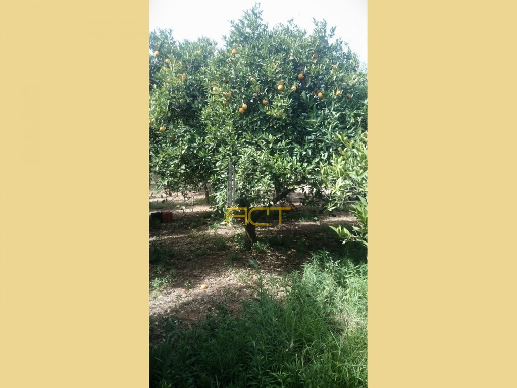 Αγροτεμάχια 5.350 τ.μ. προς πώληση, Κέντρο Μολάων