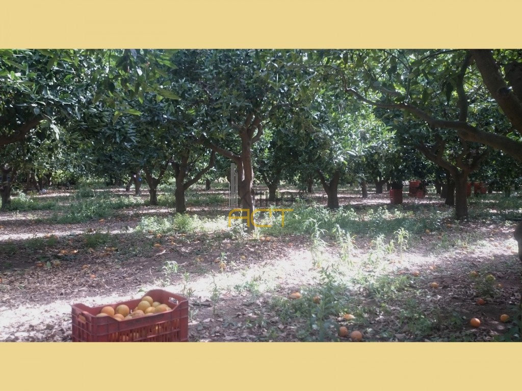 Αγροτεμάχια 5.350 τ.μ. προς πώληση, Κέντρο Μολάων