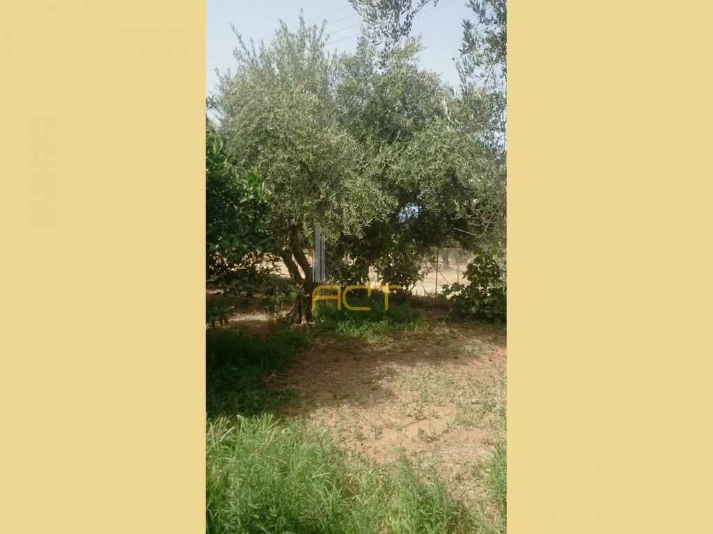 Αγροτεμάχια 5.350 τ.μ. προς πώληση, Κέντρο Μολάων