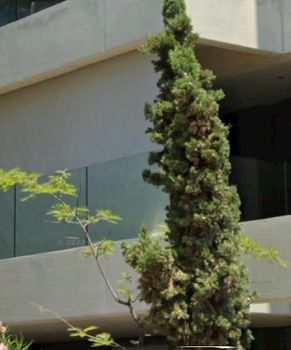 Detached home 350sqm for rent-Glyfada » Glyfada - Center