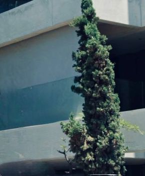 Μονοκατοικία 350τ.μ. για ενοικίαση-Γλυφάδα » Κάτω γλυφάδα