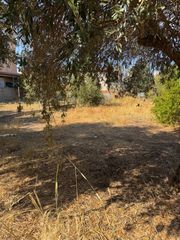 Οικόπεδο 300 τ.μ. για ενοικίαση, Αθήνα - Νότια Προάστια, Βάρη- Βάρκιζα-thumb-1