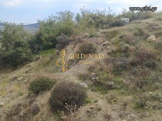 Οικόπεδο 392 τ.μ. για πώληση, Ν. Καβάλας, Ελευθερές-thumb-5