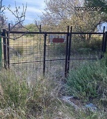 Οικόπεδο 2.000 τ.μ. προς ενοικίαση, Αττική - Υπόλοιπο, Καλύβια Θορικού