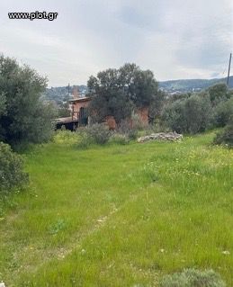 Μονοκατοικία 65τ.μ. για ενοικίαση-Καλύβια θορικού » Λαγονήσι