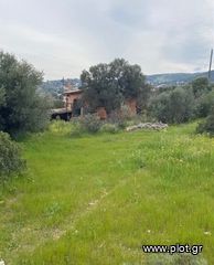 Μονοκατοικία 65 τ.μ. για ενοικίαση