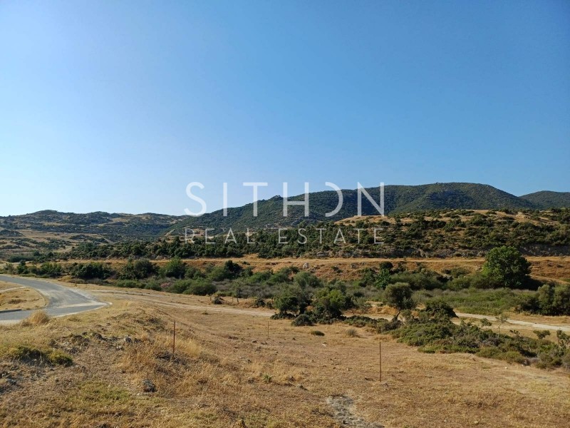 Οικόπεδο 502 τ.μ. προς πώληση, Σκάλα Συκέας