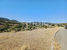 Οικόπεδο 502τ.μ. για πώληση-Τορώνη » Σκάλα συκέας