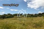 Parcel 8.000sqm for sale-Panagia » Center