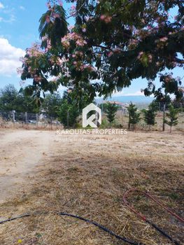 Land plot 700sqm for sale-Stagiron - Akanthou » Nea Roda
