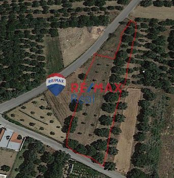 Οικόπεδο 1.650 τ.μ. για πώληση