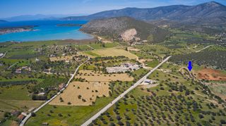 Αγροτεμάχια 36.744 τ.μ. για πώληση, Αργολίδα, Κρανίδι-thumb-3