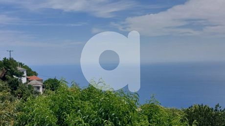Land plot 6.000sqm for sale-Zagora » Pouri