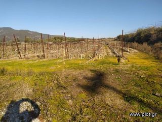 Μονοκατοικία 20 τ.μ. για πώληση, Ν. Καβάλας, Ελευθερές-thumb-11