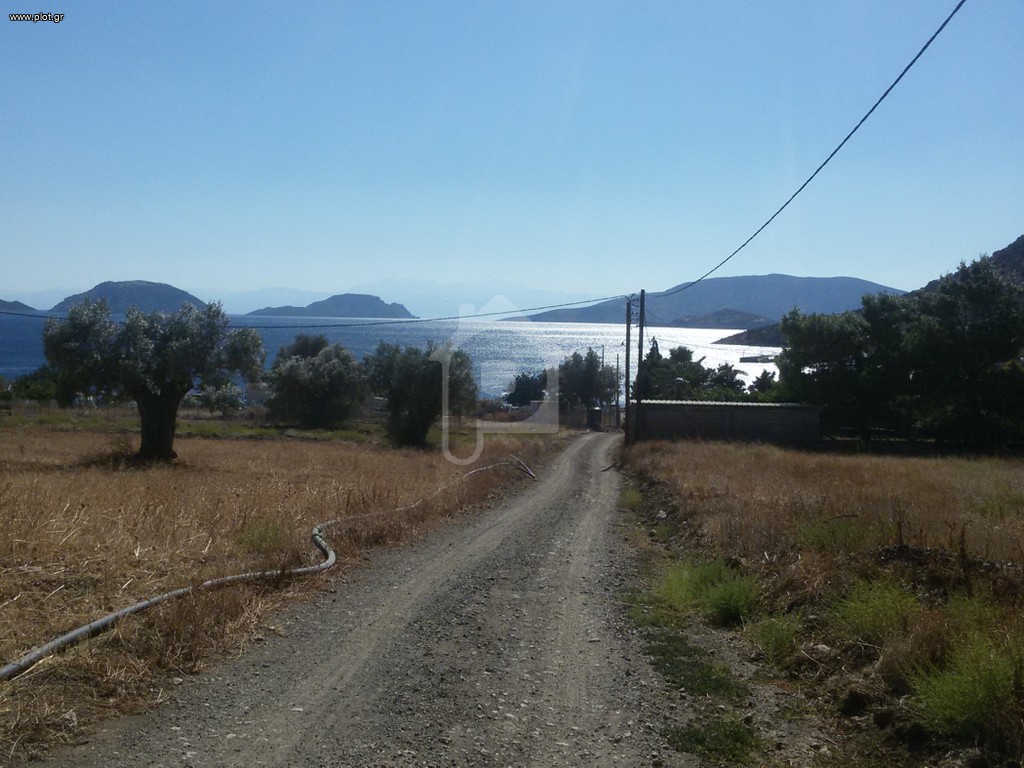 Αγροτεμάχια 4.650 τ.μ. προς πώληση, Άγιος Νικόλαος Θίσβης