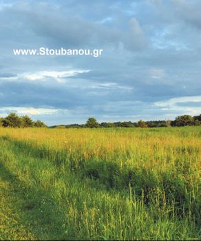 Parcel 4.000sqm for sale-Amaliada » Marathia