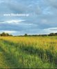 Parcel 4.000sqm for sale-Amaliada » Marathia