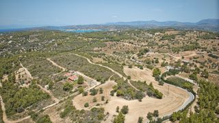 Αγροτεμάχια 130.000 τ.μ. για πώληση, Αργολίδα, Κρανίδι-thumb-5