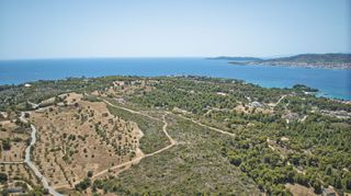 Αγροτεμάχια 130.000 τ.μ. για πώληση, Αργολίδα, Κρανίδι-thumb-17
