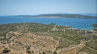 Αγροτεμάχια 130.000 τ.μ. για πώληση