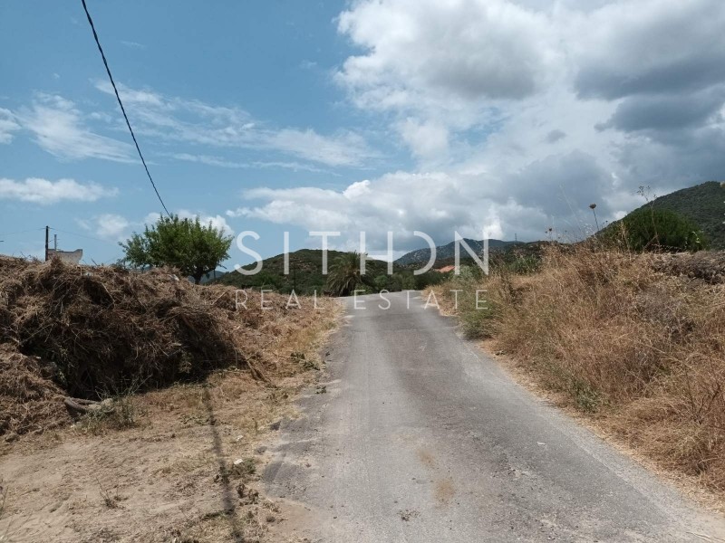 Αγροτεμάχια 16.190 τ.μ. προς πώληση, Συκιά Τορώνης